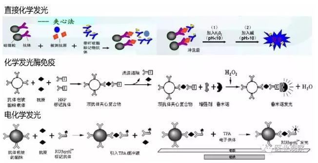 按標記物分類的三種化學發(fā)光方法的原理