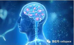 從實際應用出發(fā)，讓標志物助力精準診斷