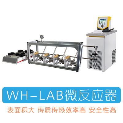 WH-LAB微反應(yīng)器