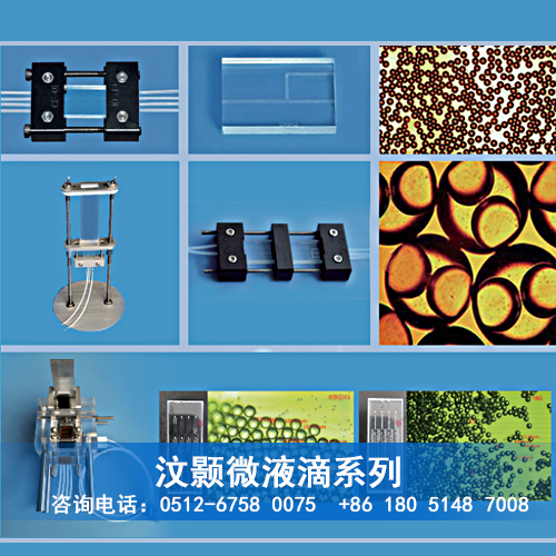 恒溫灌流培養(yǎng)盒